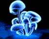 mushrooms.gif
