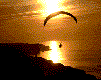 parachutist.gif