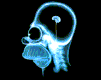 homers-brain.gif