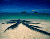 desert-island.gif